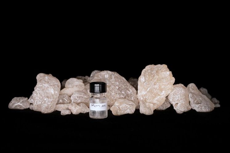 På jagt efter duften af evigt liv