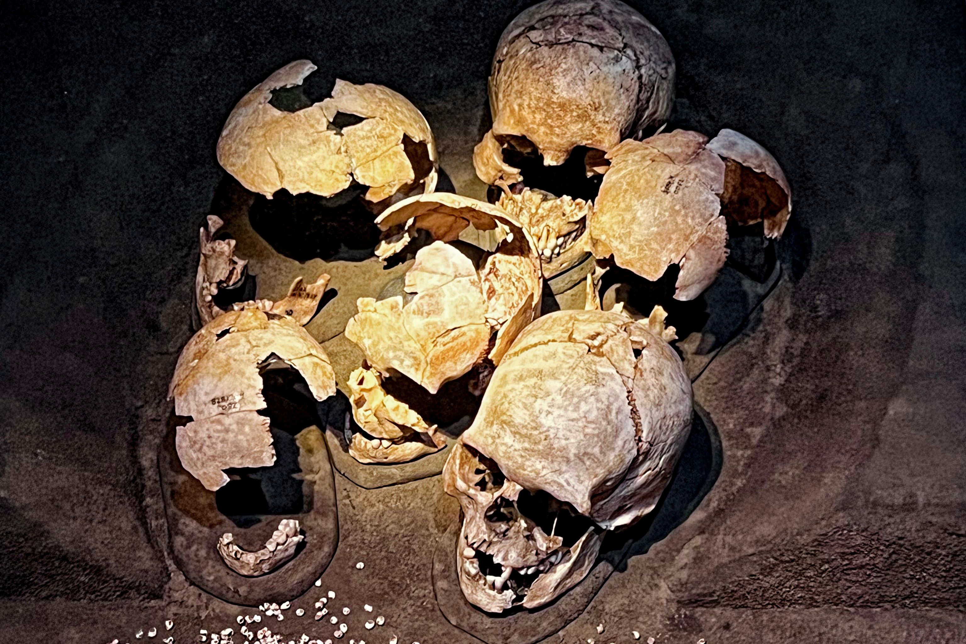 Krig blandt mennesker