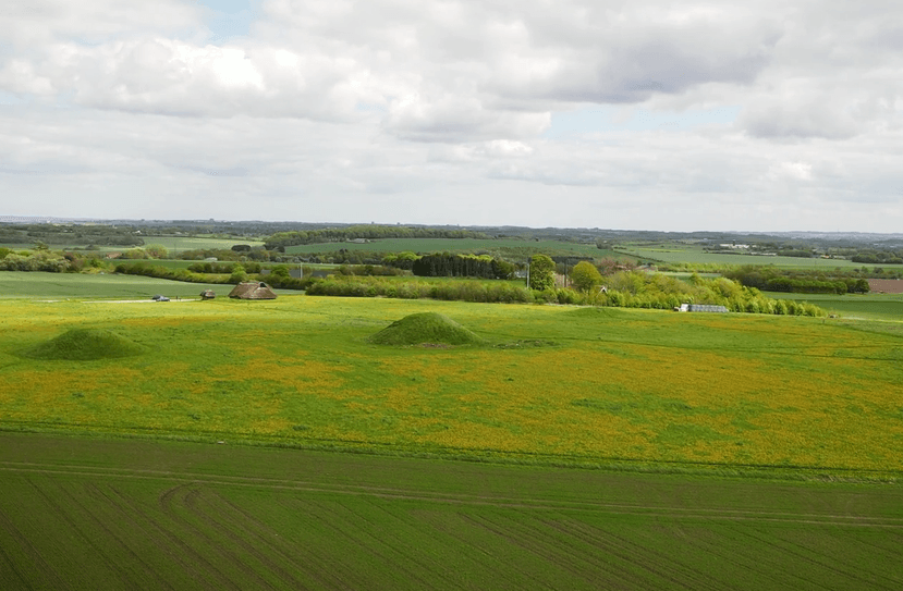 Borum Eshøj og de utrolige bronzealderfund