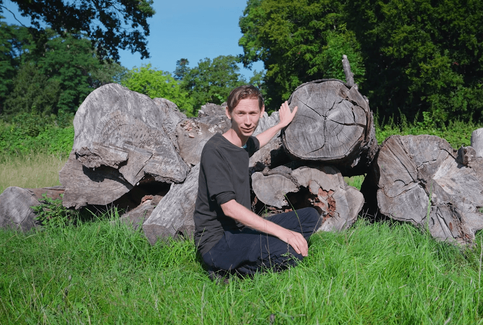 Træerne afslører hemmeligheder